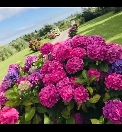Holiday home Clonmines Wexford